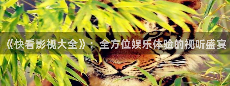 达达兔影院院