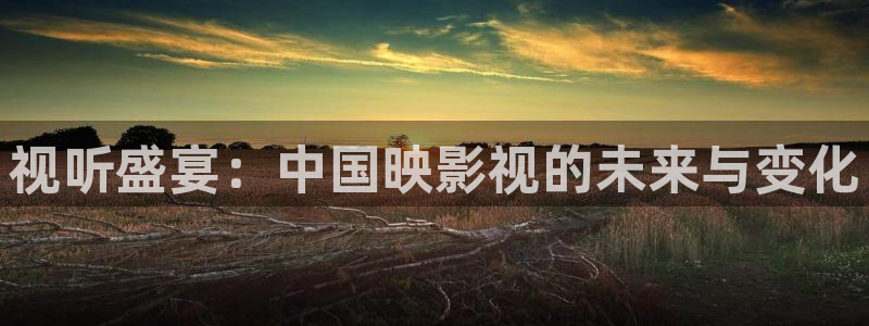 神马电影在线观看达达兔：视听盛宴：中国映影视的未来与变化