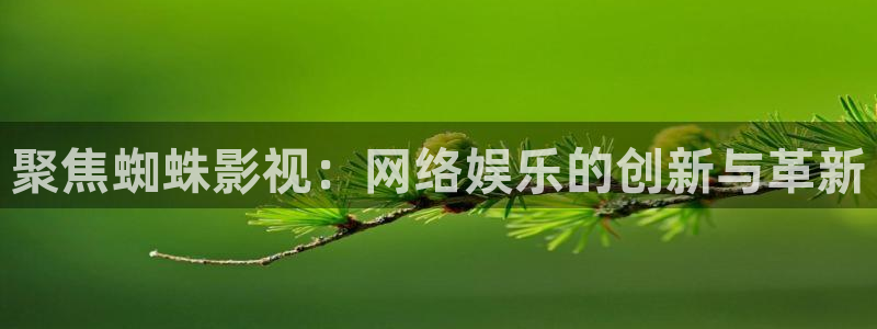 什么电影达达兔：聚焦蜘蛛影视：网络娱乐的创新与革新