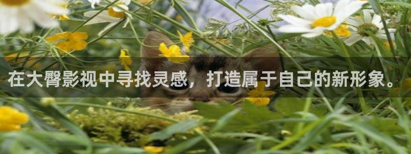 达达兔神马电影网
