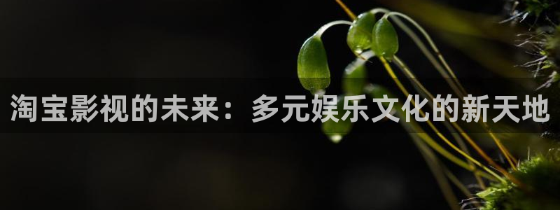 达达兔影院最新版特色