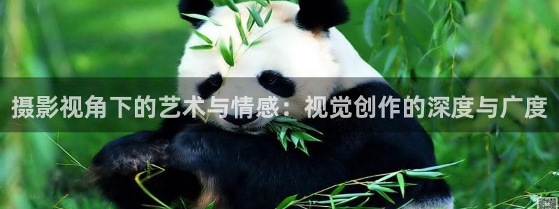 达达兔神马在线电影