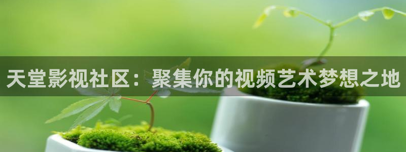 神马影视达达兔影院