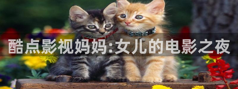 2019年达达兔在线影院