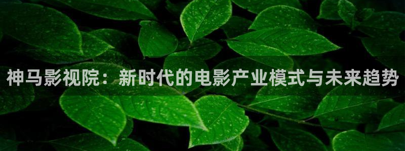 第九超神达达兔光棍影院