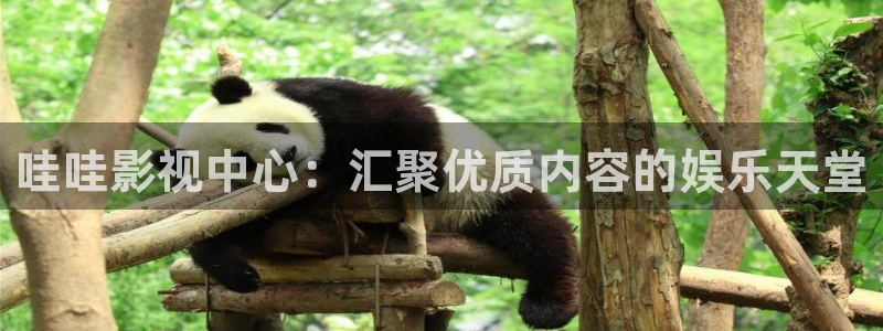 达达兔影视达达兔影视达达兔影